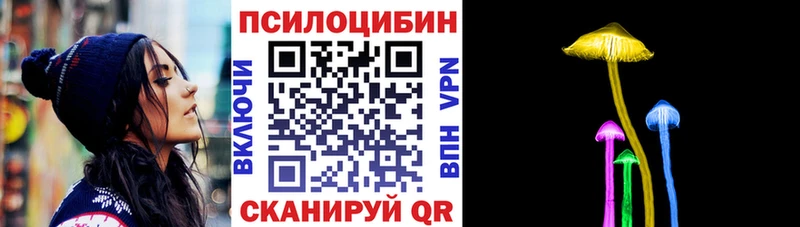 Псилоцибиновые грибы Cubensis Моршанск