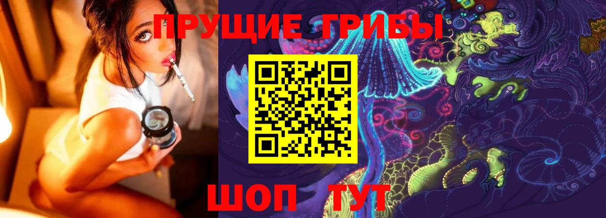 Галлюциногенные грибы Psilocybine cubensis Моршанск