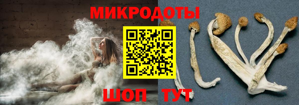 Псилоцибиновые грибы прущие грибы  купить закладку  Моршанск  Вход с VPN 