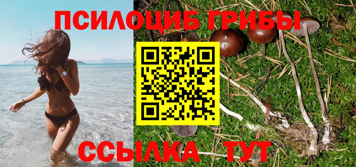 Псилоцибиновые грибы ЛСД Моршанск